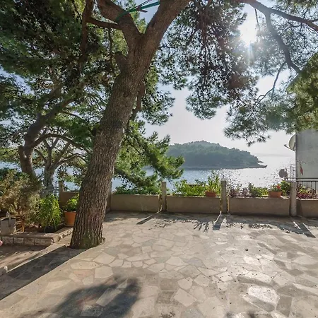 Slobodan By The Sea
