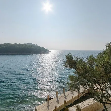 Slobodan By The Sea Tribalj