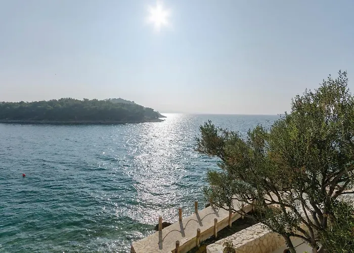 Slobodan By The Sea Tribalj